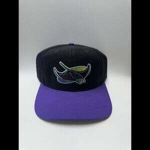 Vintage Wool MLB Tampa Devil Rays SnapBack Hat